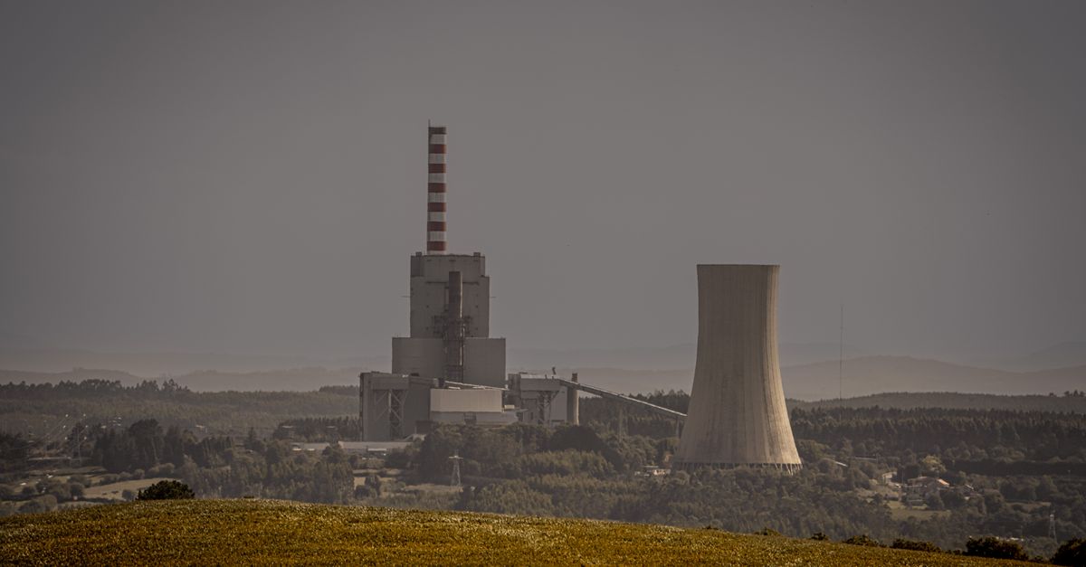 The Power Plant and the Water Plants Are One Story